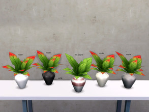 Sims 4 — ficus by so87g — Collection of plants. Set of 4 plants. Cost : 100 you can found it in decorations - plants All