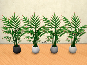 Sims 4 — modern palms by so87g — Collection of plants. Set of 4 plants. Cost : 70 you can found it in decorations -