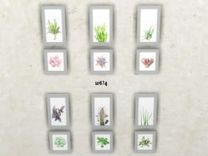 Sims 4 — Fat plants pics p.1 by so87g — Set of 6 paintings. Cost : 100 you can found it in Paintings. All my preview