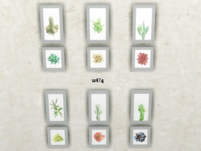 Sims 4 — Fat plants pics p.2 by so87g — Set of 6 paintings. Cost : 100 you can found it in Paintings. All my preview