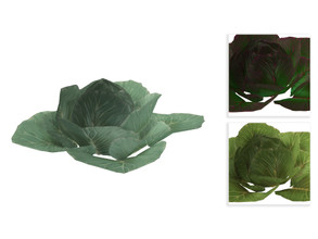 Sims 4 — Cabbage by sim_man123 — It's... cabbage. 