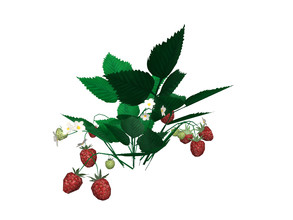 Sims 4 — Strawberry Plant by sim_man123 — A decorative strawberry plant that is mid-bloom! 