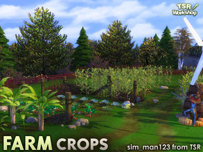 Sims 4 — Decorative Farm Crops by sim_man123 — A set of decorative-only crops to help decorate your farms! (Or for your