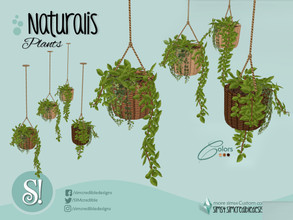 Sims 4 — Naturalis Hanging Plant by SIMcredible! — by SIMcredibledesigns.com available at TSR 3 colors variations