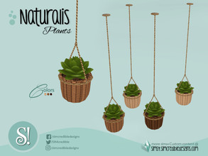 Sims 4 — Naturalis Hanging Plant suculenta by SIMcredible! — by SIMcredibledesigns.com available at TSR 3 colors