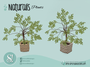 Sims 4 — Naturalis Plant burlap sack by SIMcredible! — by SIMcredibledesigns.com available at TSR 2 colors variations