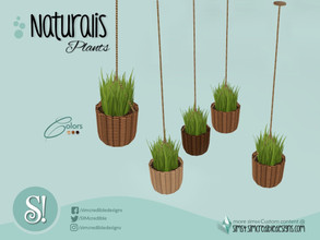 Sims 4 — Naturalis Hanging plant small tall by SIMcredible! — by SIMcredibledesigns.com available at TSR 3 colors