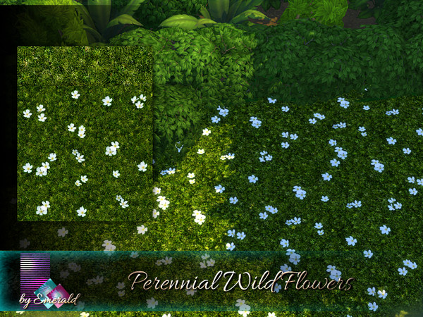 Sims 4 — Perennial Wild Flowers by Emerald — Beautiful white flowers are the perfect add-on for a variety of gardens.