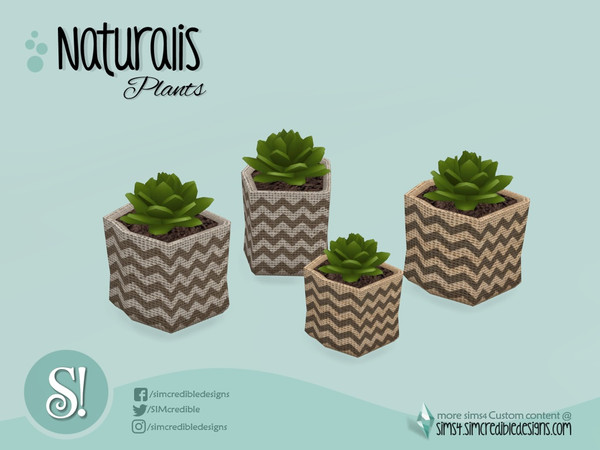 Sims 4 — Naturalis Potted suculenta by SIMcredible! — by SIMcredibledesigns.com available at TSR 2 colors variations