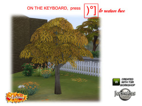 Sims 4 — Abby Autumn garden autumn tree by jomsims — Abby Autumn garden autumn tree