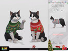 Sims 4 — Holiday Wonderland - Christmas Sweater for Cats by remaron — -08 Swatches available -Custom CAS thumbnail -