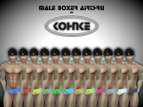 Sims 4 — Kohnke Male Boxer AirThru by CHKohnke — Men's Boxer Underwear