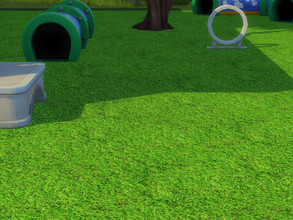 Sims 4 — Realistic Green Grass by Z0MBELLA — Realistic looking grass.