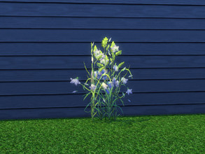 Sims 4 — Up The Garden Path Bluebells by seimar8 — Bluebells. Part of Up The Garden Path set. Base Game