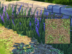 Sims 4 — MB-TerrainPaint_HalfDried by matomibotaki — MB-TerrainPaint_HalfDried, terrain with half-dried earth