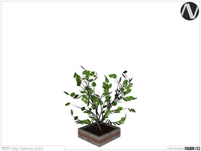 Sims 4 — Islip Plant by ArtVitalex — Hallway Collection | All rights reserved | Belong to 2021 ArtVitalex@TSR - Custom