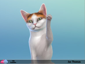 Sims 4 — Jax Thomas by patreshasediting2 — I have made this gorgeous Female Cat to look like my real Cat. I hope I have