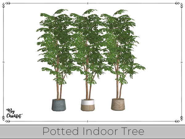 Sims 4 — Plant Lover Potted Indoor Tree by Chicklet — Plant Lovers Set (Part 2) Plants are not just a beautiful accent