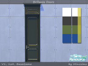 Sims 4 — Brillante Single Panel Door V1 1x4 by Mincsims — for medium wall 8 swatches