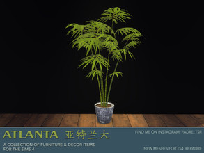 Sims 4 — Atlanta 1 Furniture and Deco potted thin bamboo by Padre — An Asian-inspired set of furniture and deco meshes