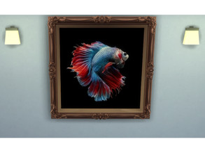 Sims 4 — Painting Betta Fish by Teday — Painting Betta Fish Halfmoon 