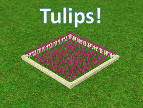 Sims 3 — Tulip Flowers by Ladian2 — Tulips for your Sim's yard or garden!