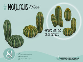 Sims 4 — Naturalis Pets sculpture porcelain cactus 2 by SIMcredible! — by SIMcredibledesigns.com available at TSR 3