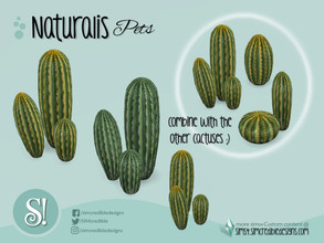 Sims 4 — Naturalis Pets sculpture porcelain cactus 3 by SIMcredible! — by SIMcredibledesigns.com available at TSR 2