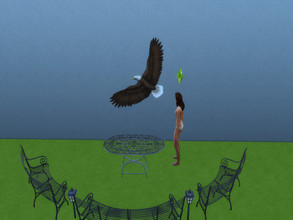 Sims 4 — Birds of Prey Decals by Decaysha — 4 Large transparent wall decal that can be placed at any height by Decaysha.