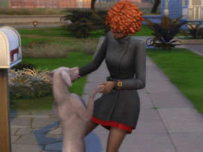 Sims 4 — Pet Immortality Trait by CrucibleGaming — This mod adds a new trait for pets called "Immortal". It's a