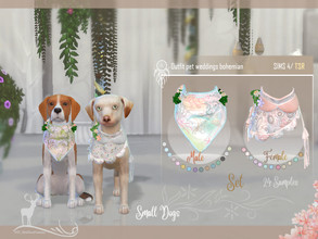 Sims 4 — Outfit pet weddings bohemian Small Dog by DanSimsFantasy — Suit to dress the pets that accompany you in a