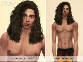 Sims 4 — Male skin N2 Overlay by Valuka — 5 brightness levels. Compatible with all EA skintones. Works with all make up.
