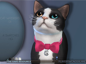 Sims 4 — Cat Whiskers 01 by PlayersWonderland — Custom made whiskers for your cats! They come in 4 different colors and