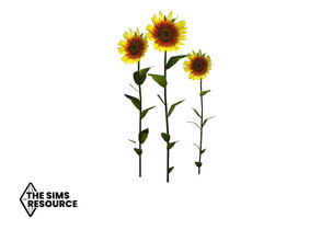 Sims 4 — How Does Your Garden Grow Dance of the Sunflowers by seimar8 — Maxis match sunflowers Base Game