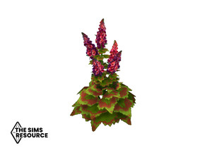 Sims 4 — How Does Your Garden Grow Foxglove 2 by seimar8 — Maxis match foxglove with a variegated leaf Cottage Living