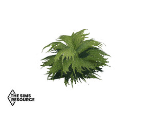 Sims 4 — How Does Your Garden Grow Green Fern by seimar8 — Maxis match green fern Base Game 
