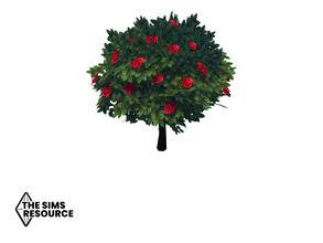 Sims 4 — How Does Your Garden Grow Red Rose Bush by seimar8 — Maxis match red rose bush Base Game