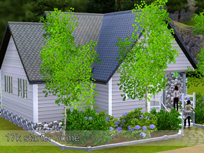 Sims 3 — 17k starter home by Simswunder — This house is perfect for the start. It costs around 17k. | 1 bedroom, 1