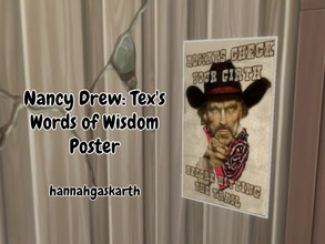 Sims 4 — Nancy Drew: Tex's Words of Wisdom Poster by hannahgaskarth2 — Another poster you see in Tex's area about riding