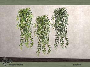 Sims 4 — Makena Plants. Ivy by soloriya — Wall ivy. Part of Makena Plants set. 3 color variations. Category: Decorative -
