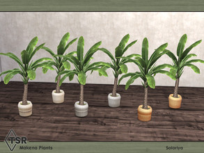 Sims 4 — Makena Plants. Palm by soloriya — Palm. Part of Makena Plants set. 6 color variations. Category: Decorative -