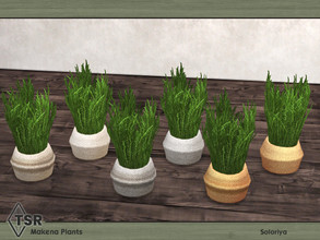 Sims 4 — Makena Plants. Plant A by soloriya — Plant. Part of Makena Plants set. 6 color variations. Category: Decorative