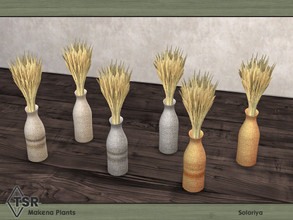 Sims 4 — Makena Plants. Plant C by soloriya — Plant. Part of Makena Plants set. 6 color variations. Category: Decorative