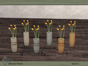 Sims 4 — Makena Plants. Plant E by soloriya — Plant. Part of Makena Plants set. 6 color variations. Category: Decorative