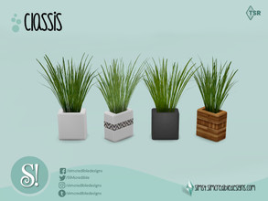 Sims 4 — Classis Plant by SIMcredible! — by SIMcredibledesigns.com available at TSR 3 colors variations