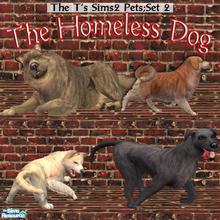Sims 2 — The Homeless Dogs by The T — Please give these poor homeless dogs happy home.