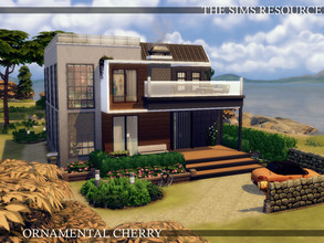 Sims 4 — Ornamental Cherry | noCC by simZmora — The Ornamental Cherry may be a deciduous or evergreen tree or shrub,