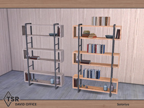 Sims 4 — David Office. Bookcase by soloriya — Functional bookcase. Part of David Office set. 2 color variations.