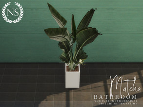 Sims 4 — Matcha Bathroom - Plant VII by networksims — A plant in a textured white pot.