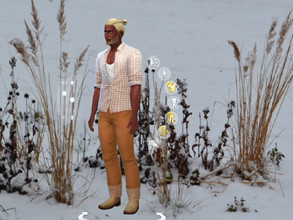 Sims 4 — The One With Plants in The Snow by Molp — With the first snow I went outside, took a few new pictures and turned